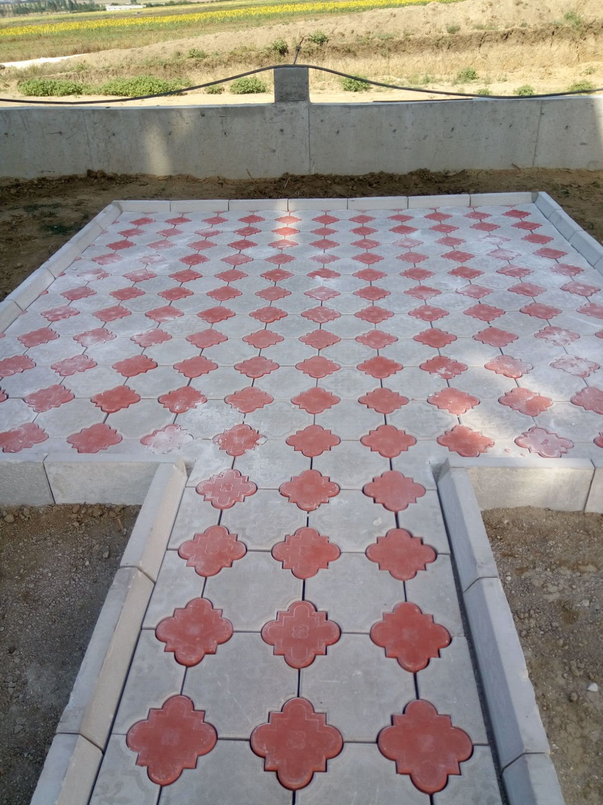 Gri kare taşlar arasında kırmızı yonca desenli dekoratif bahçe terası döşemesi